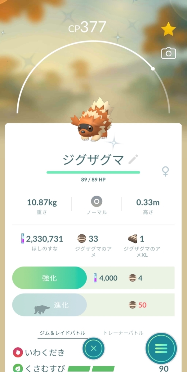 ジグザグマとは ゲームの人気 最新記事を集めました はてな