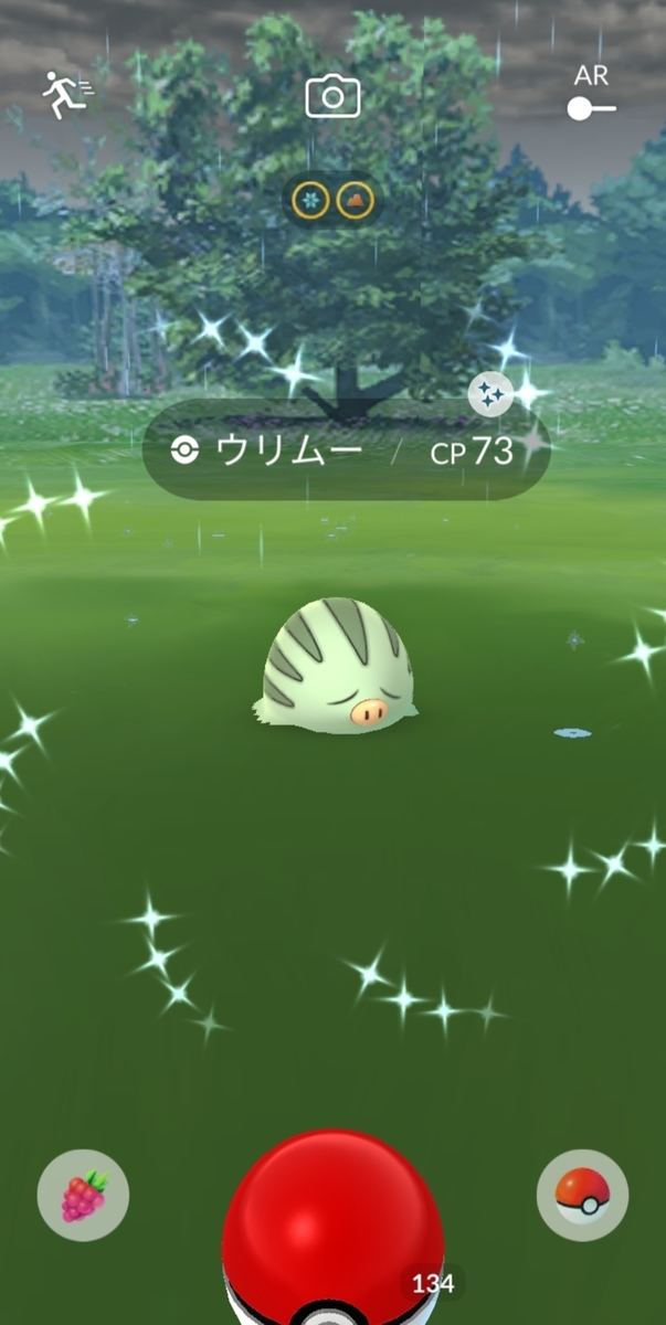 22年10月10日の色違いポケモン ちょっとしたこと