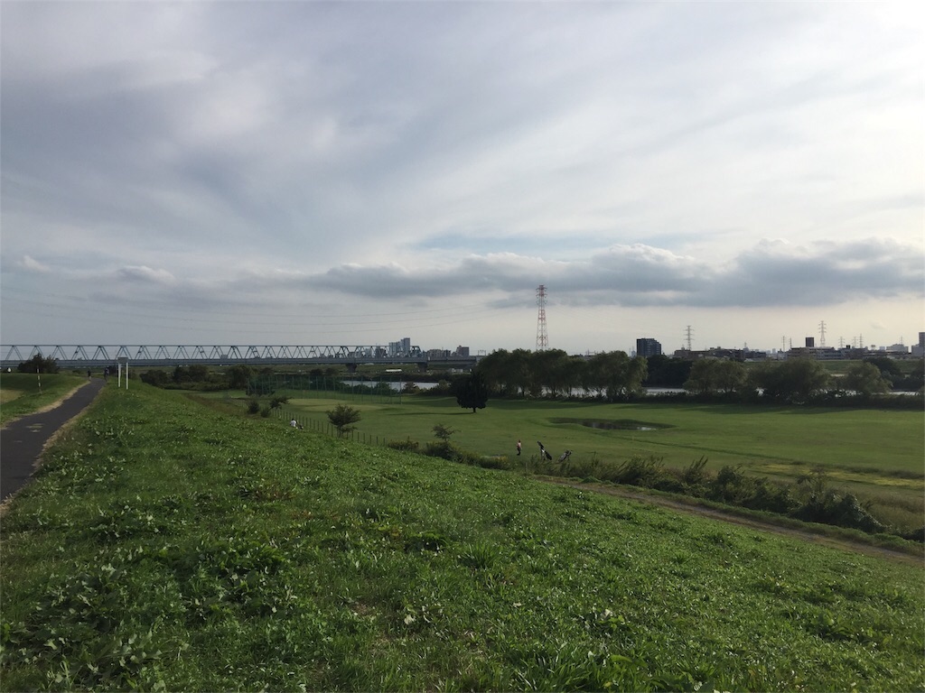 f:id:shitamachi-dog:20171119223634j:image