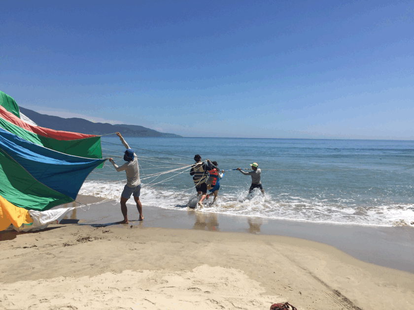 f:id:shitamachi-dog:20180218140019g:plain