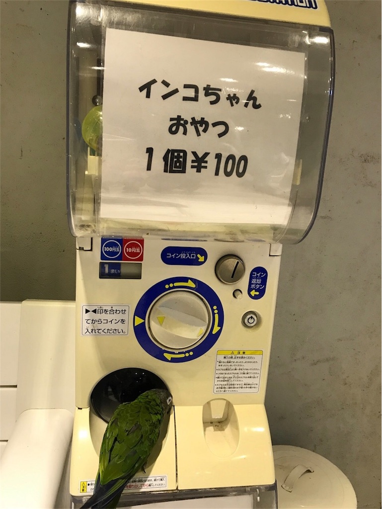 f:id:shitamachi-dog:20180322201506j:image