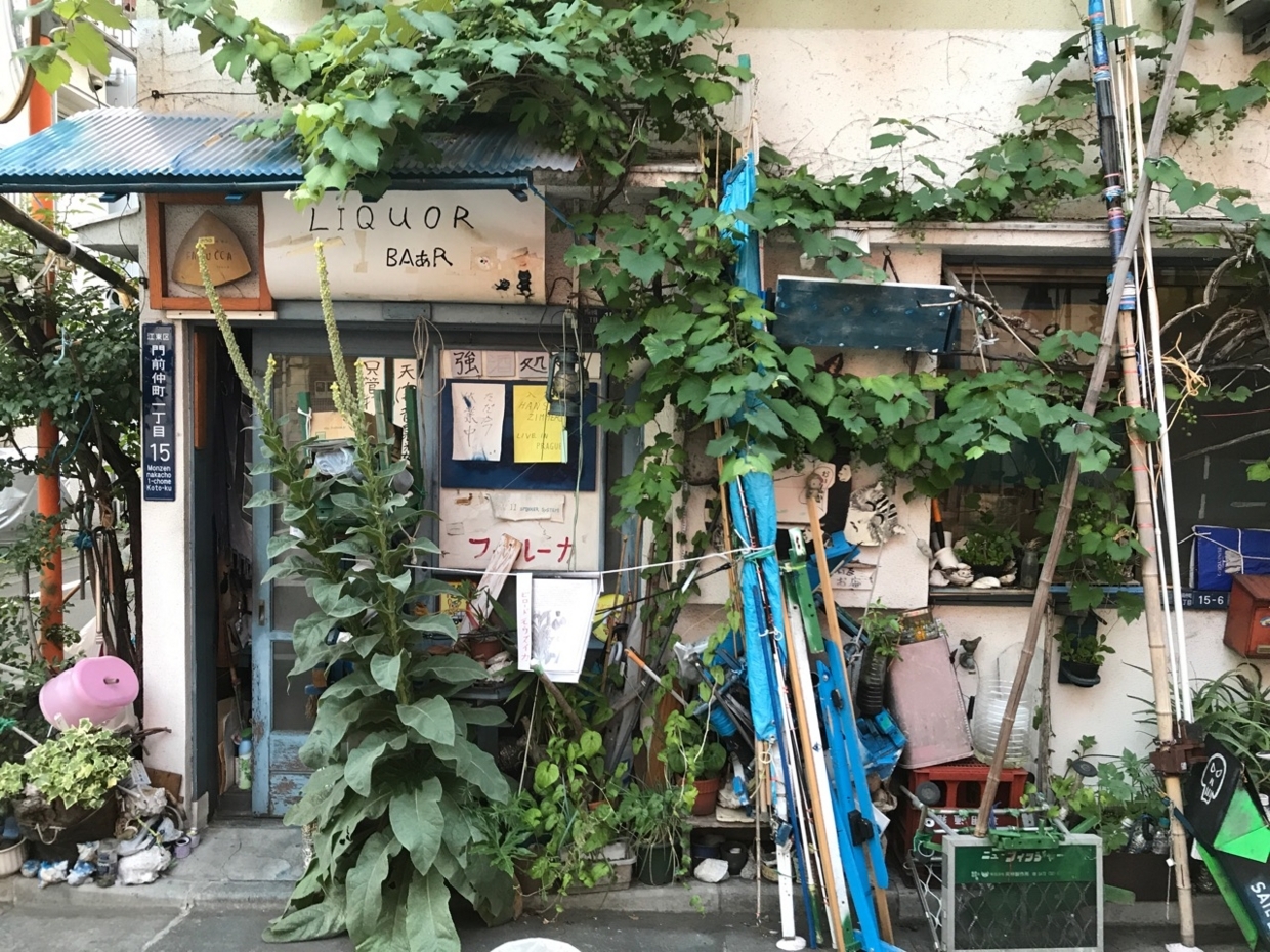 f:id:shitamachi-dog:20180611232956j:plain
