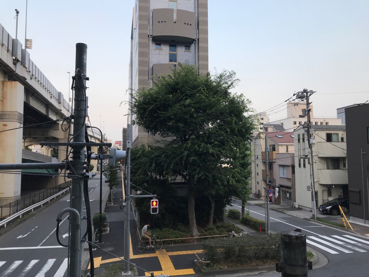 f:id:shitamachi-dog:20180612003414j:plain