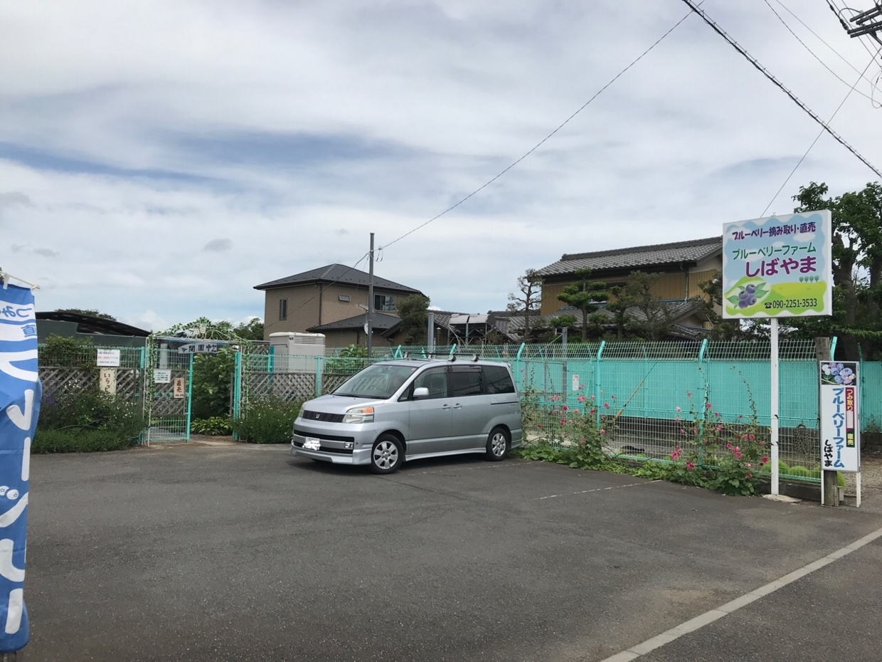 果樹園の駐車場