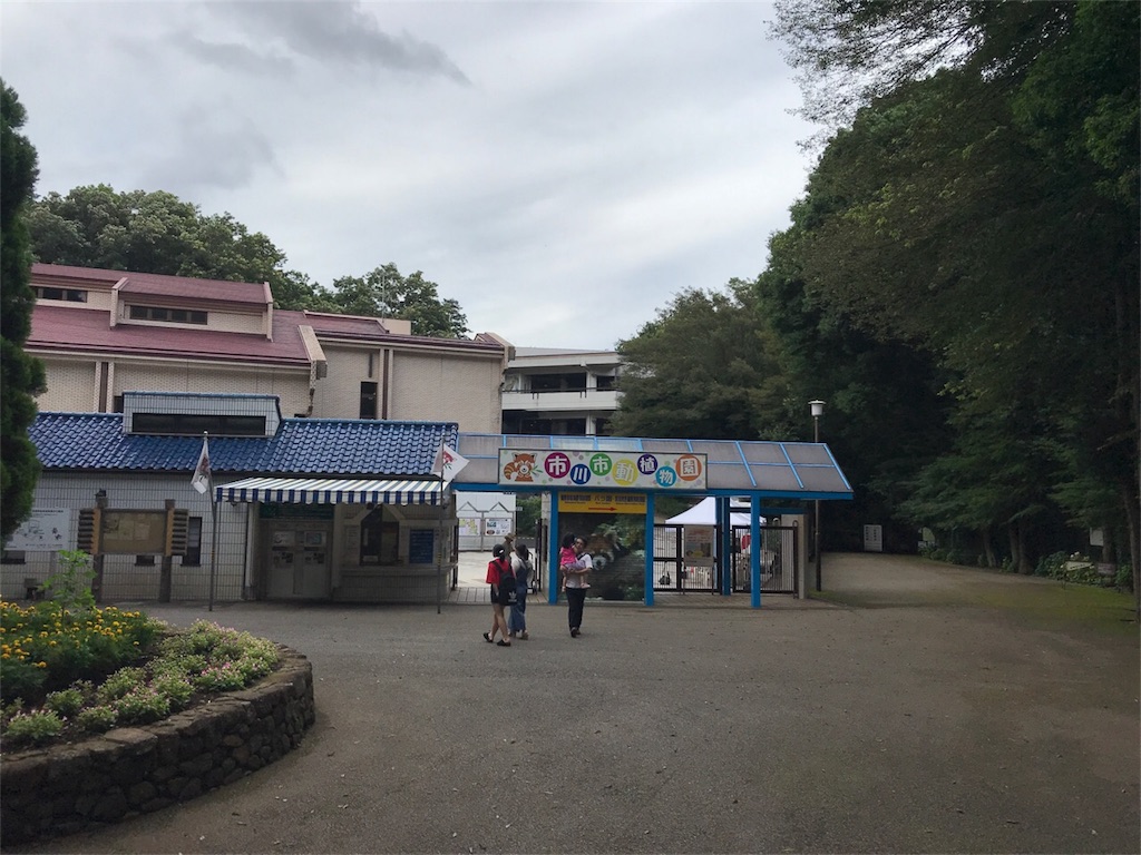 f:id:shitamachi-dog:20180723222828j:image