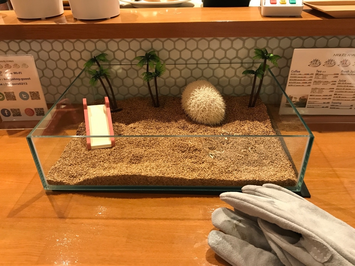 f:id:shitamachi-dog:20180810010912j:plain f:id:shitamachi-dog:20180810010912j:plain
