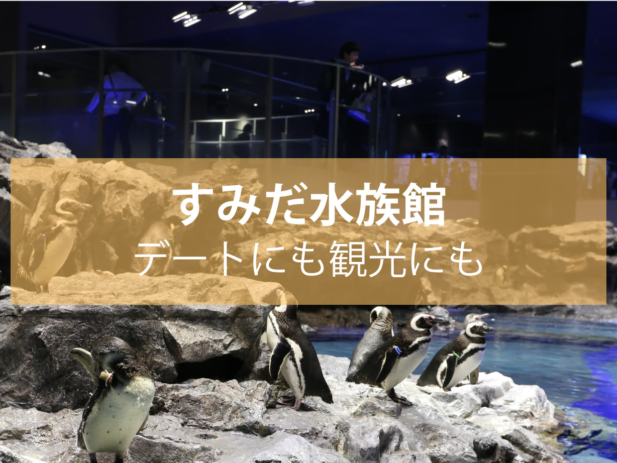 すみだ水族館はデートにも観光にも最適ですよ 下町に住む野良猫は土日に歩く