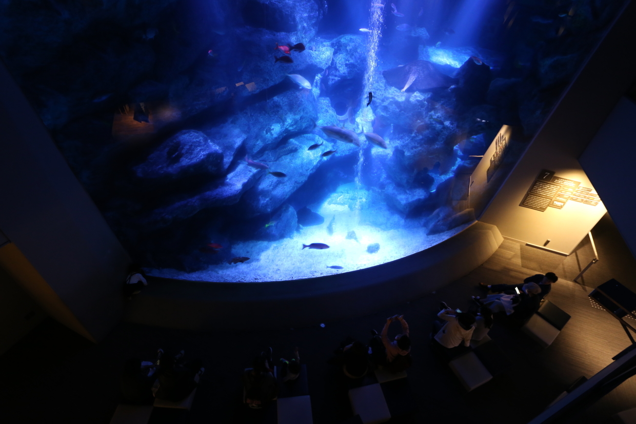 すみだ水族館