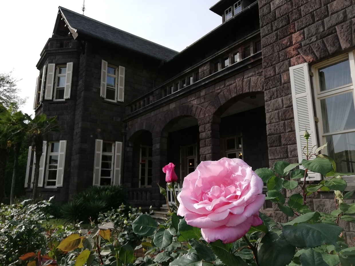 旧古河庭園のバラフェスティバル バラフェスティバル