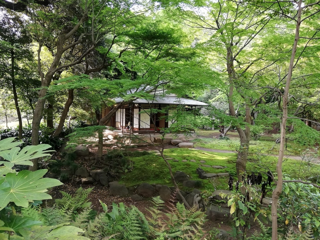 旧古河庭園の茶室 旧古河庭園
