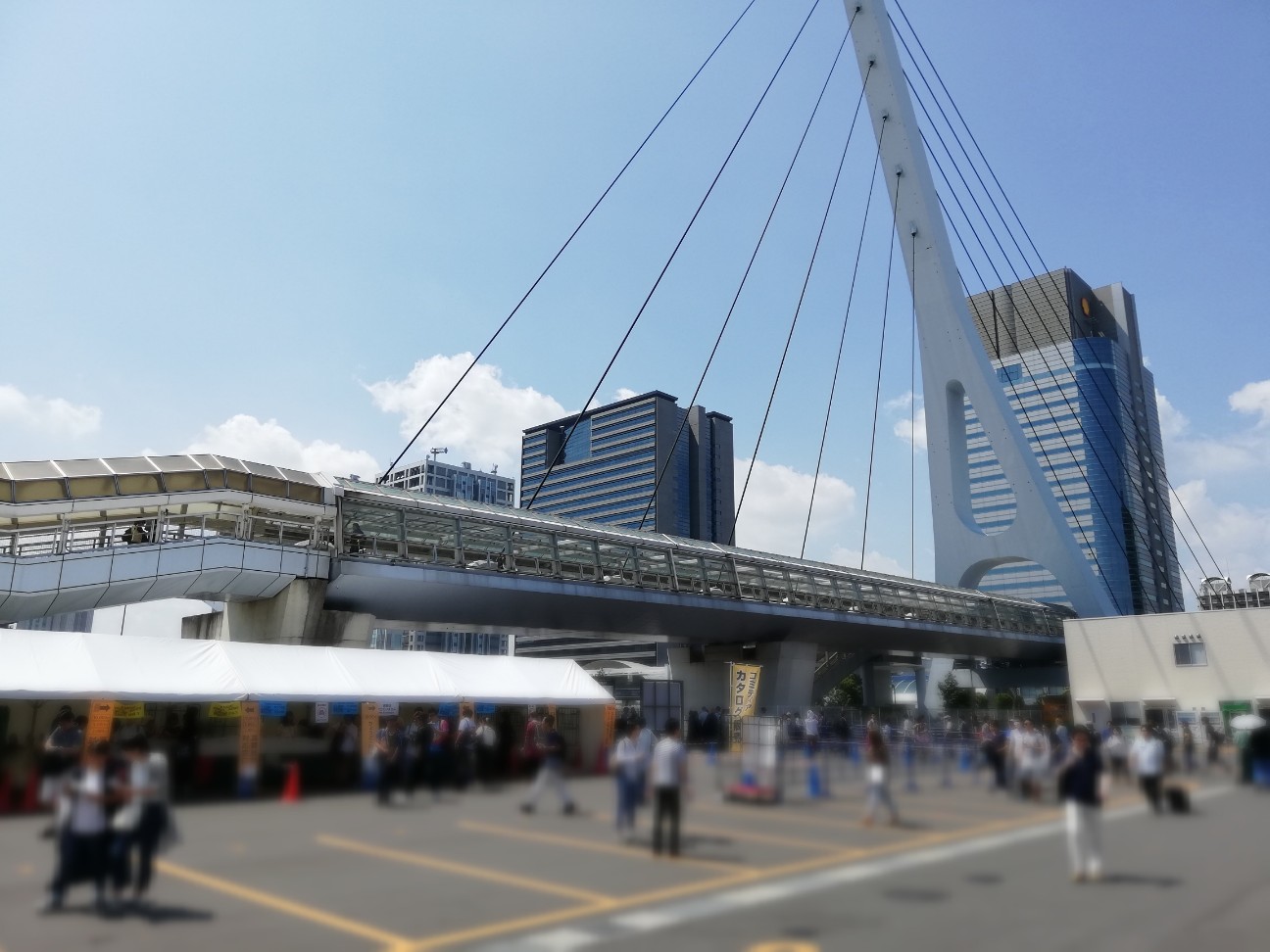 f:id:shitamachi-dog:20190827224546j:image
