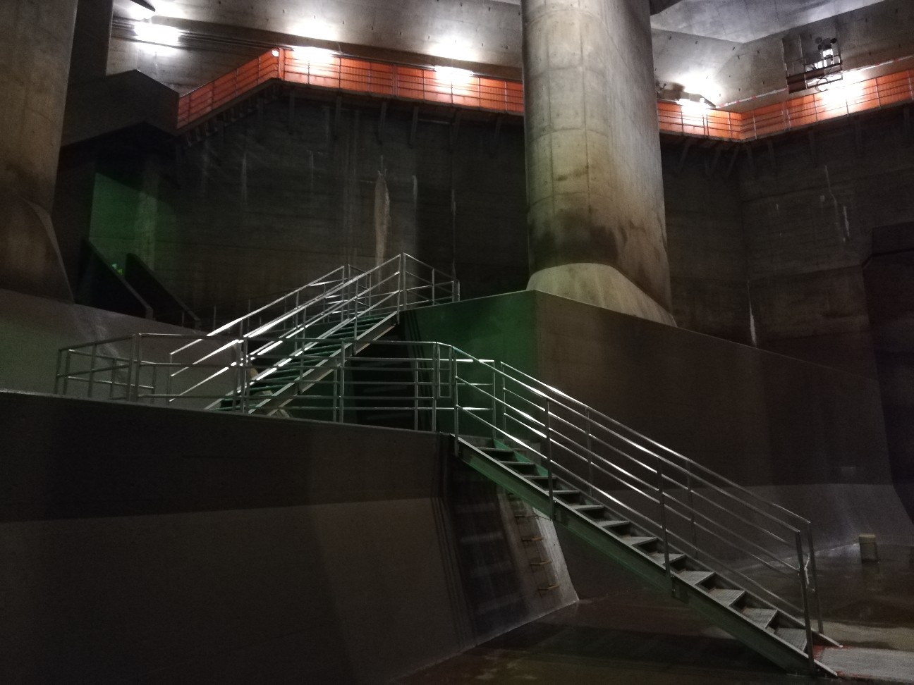 f:id:shitamachi-dog:20190924234137j:image
