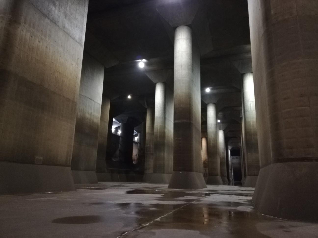 f:id:shitamachi-dog:20190924234342j:image