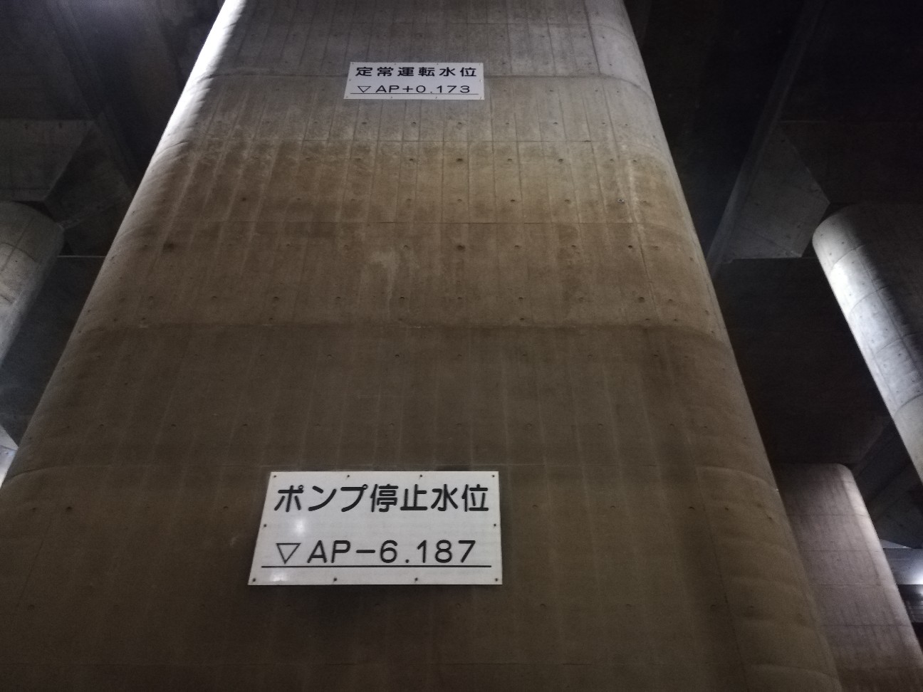 f:id:shitamachi-dog:20190924235144j:image