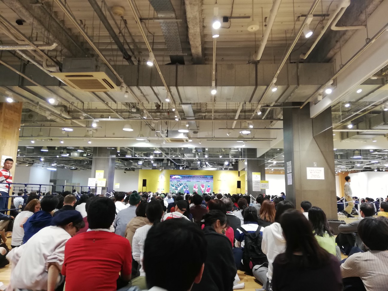 f:id:shitamachi-dog:20191101125206j:image