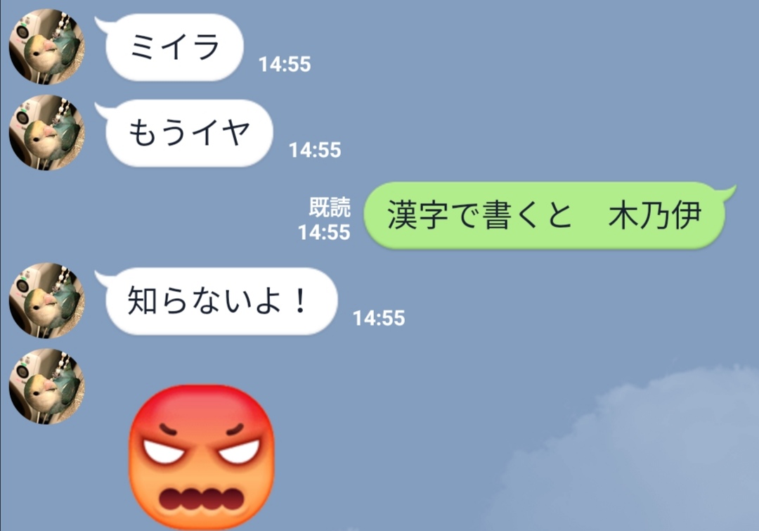 ミイラ展の感想