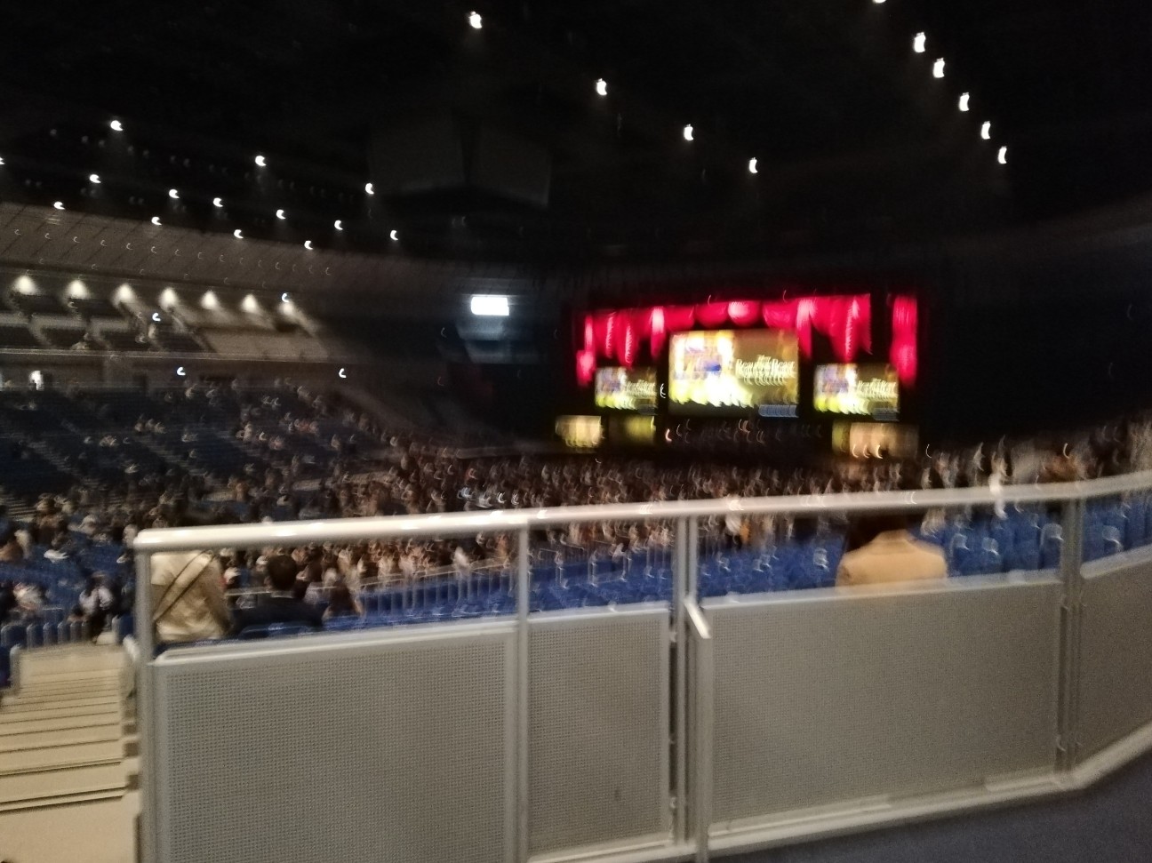 f:id:shitamachi-dog:20200311234946j:image