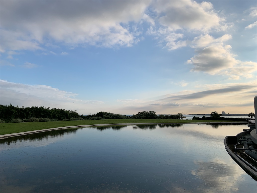 f:id:shitamachi-dog:20201025094844j:image