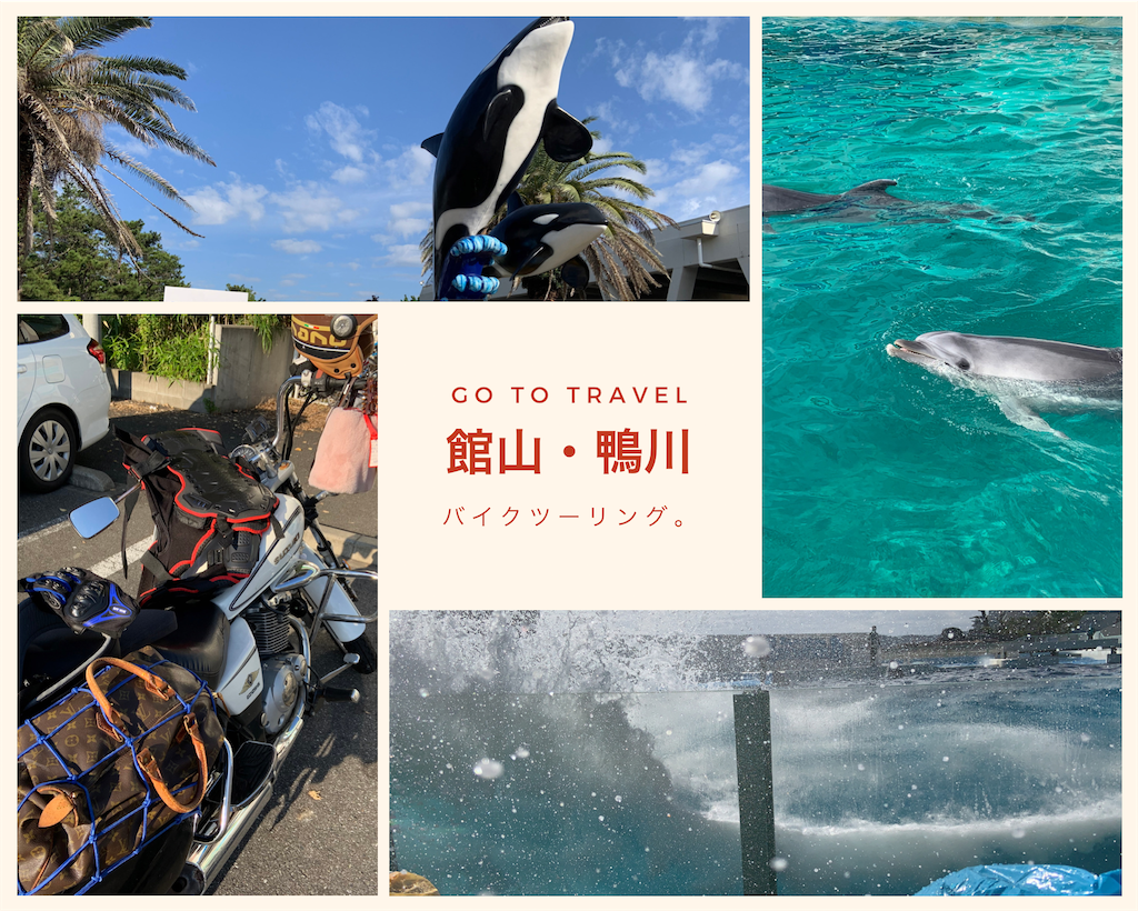 f:id:shitamachi-dog:20201213104304p:image f:id:shitamachi-dog:20201213104304p:image