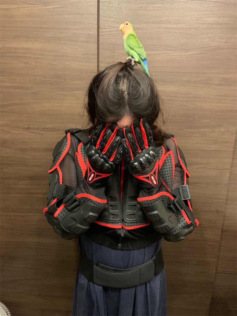 f:id:shitamachi-dog:20210212134603j:image f:id:shitamachi-dog:20210212134603j:image