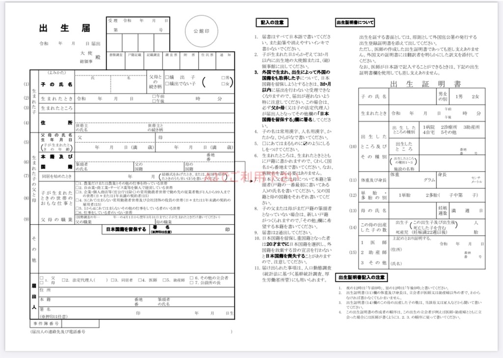 f:id:shitanblog:20240603214844j:image