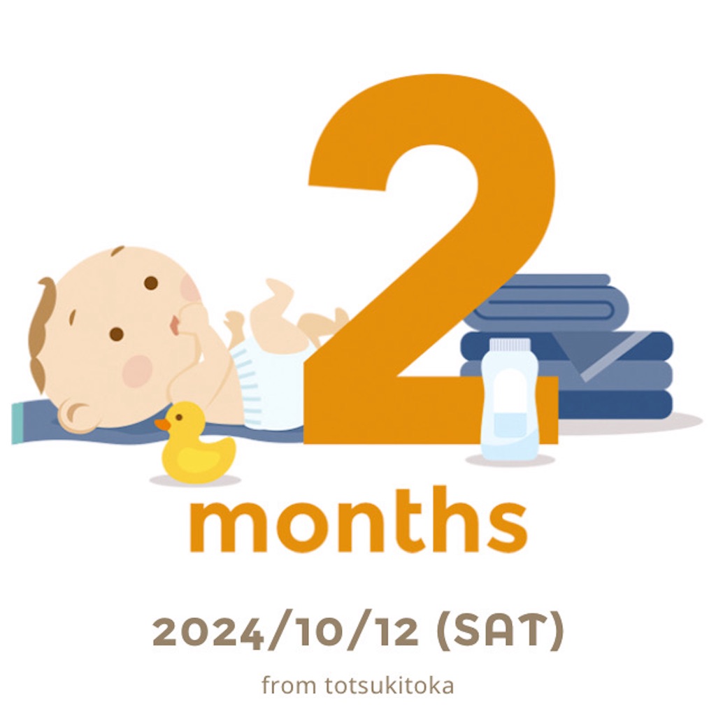 f:id:shitanblog:20241114042315j:image