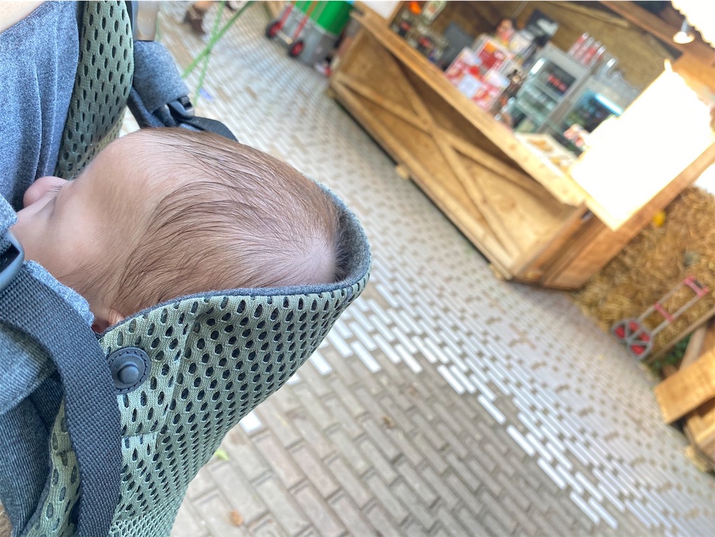f:id:shitanblog:20241119171639j:image