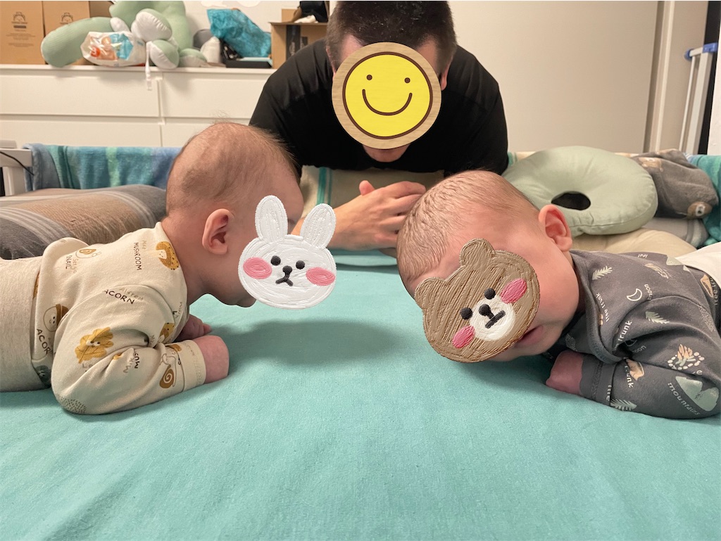 f:id:shitanblog:20241119174308j:image
