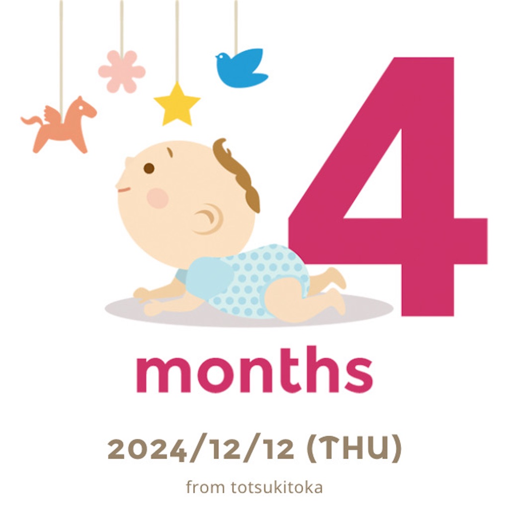 f:id:shitanblog:20241216033422j:image