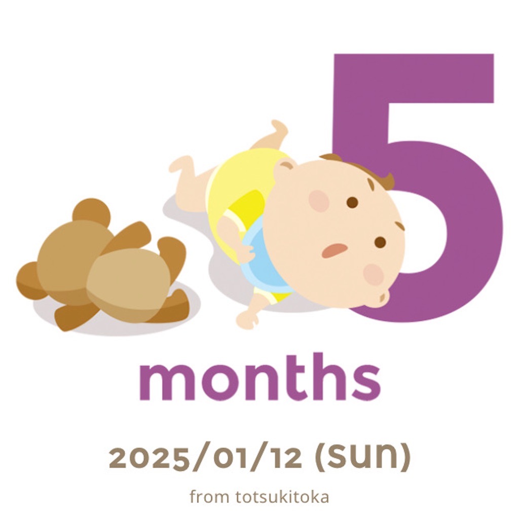 f:id:shitanblog:20250120232303j:image