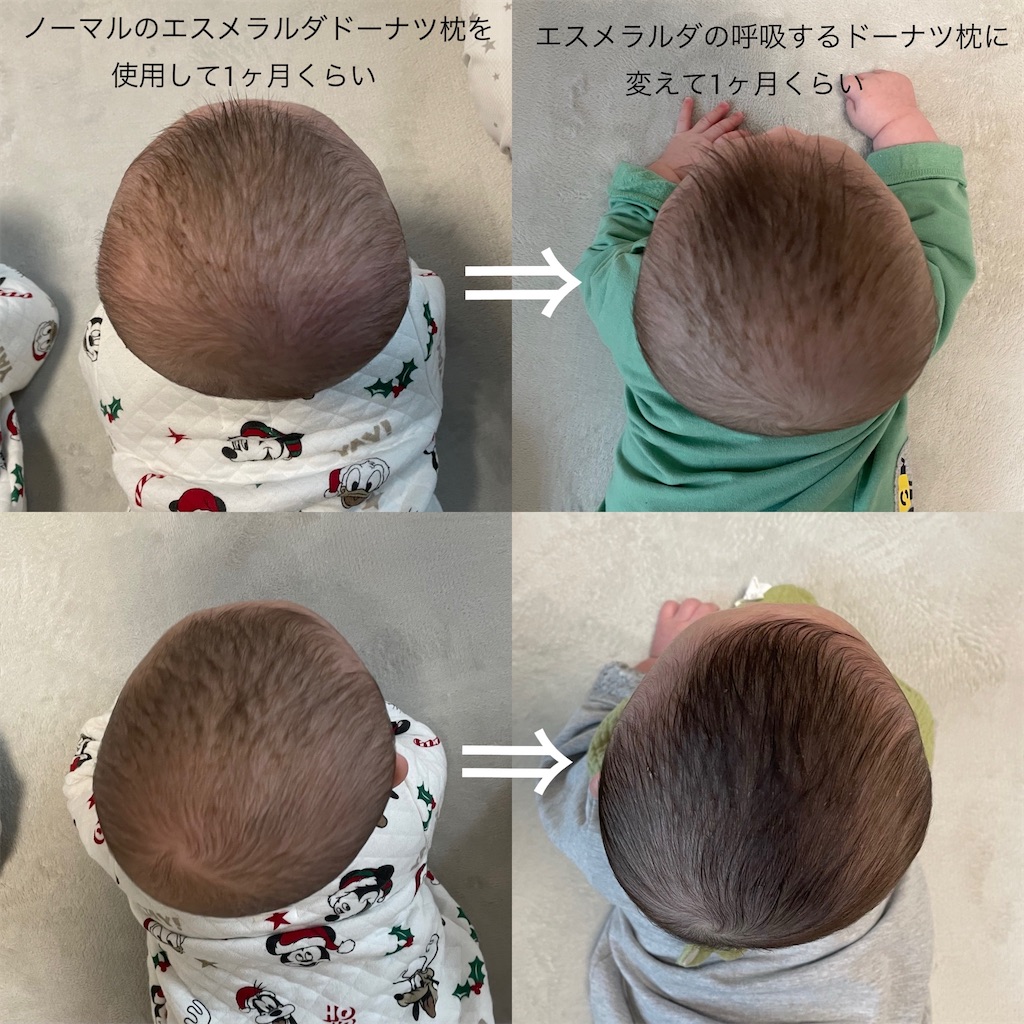 f:id:shitanblog:20250121030838j:image