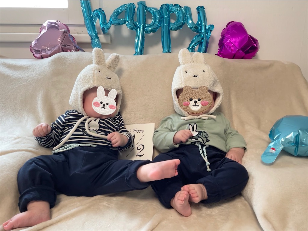 f:id:shitanblog:20250219174115j:image