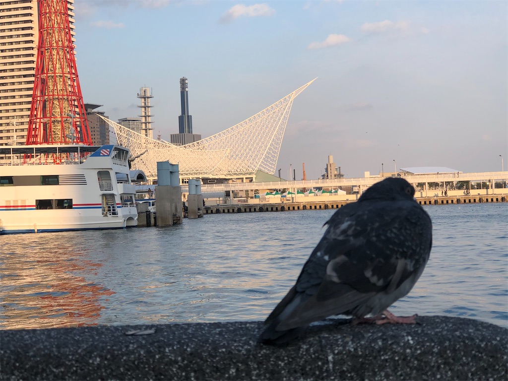 f:id:shitayuki:20200224223130j:image