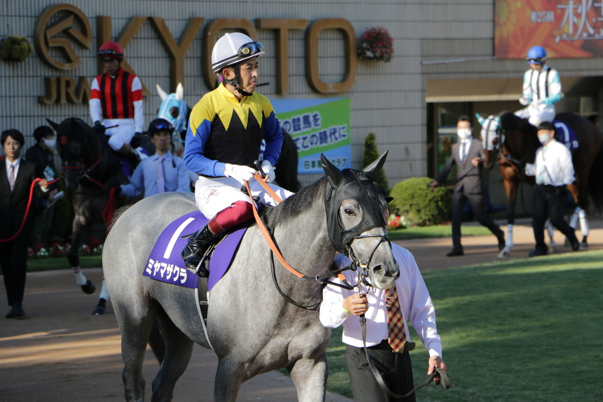 f:id:shitooo:20201019091916j:plain