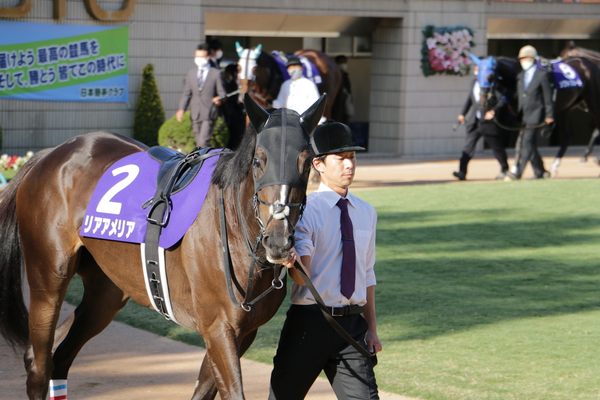 f:id:shitooo:20201019092319j:plain