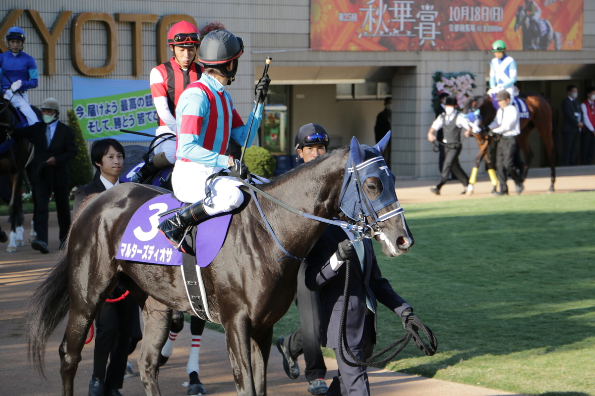 f:id:shitooo:20201019092905j:plain