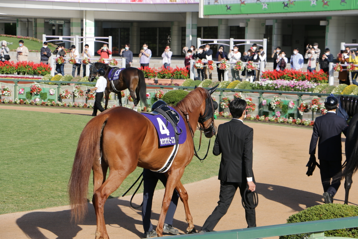 f:id:shitooo:20201019093143j:plain