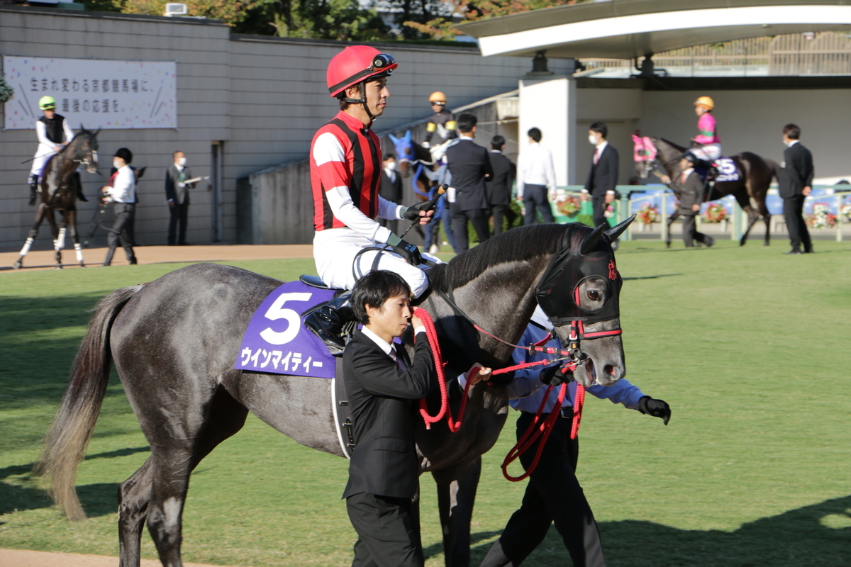 f:id:shitooo:20201019093253j:plain