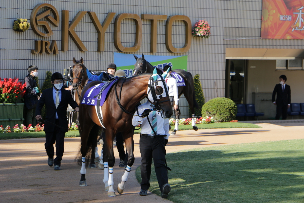 f:id:shitooo:20201019093846j:plain