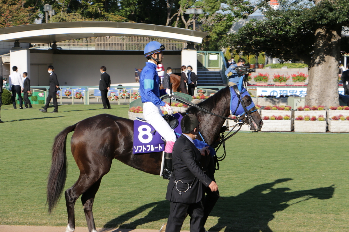 f:id:shitooo:20201019094023j:plain