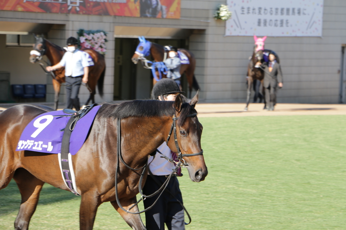 f:id:shitooo:20201019094115j:plain