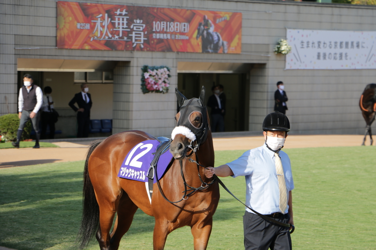 f:id:shitooo:20201019094736j:plain