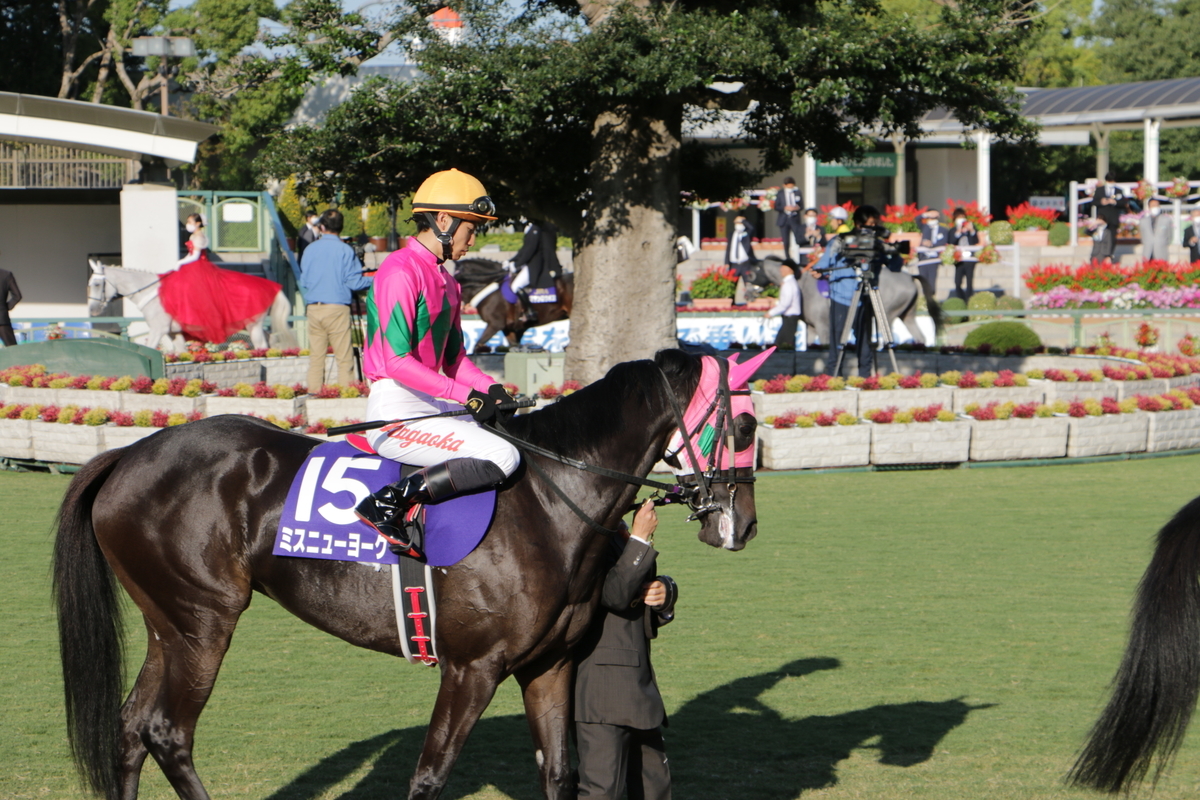 f:id:shitooo:20201019095158j:plain