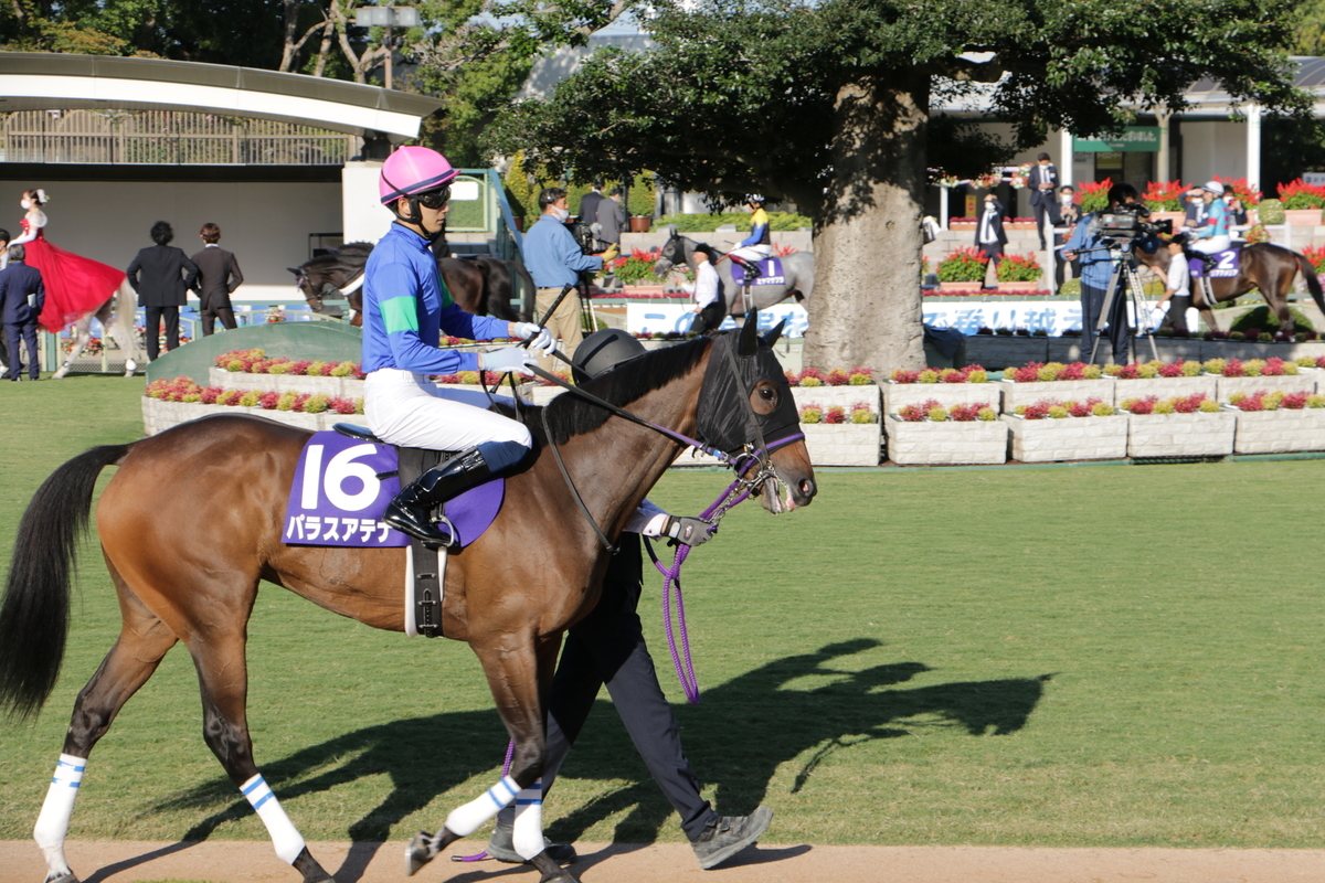 f:id:shitooo:20201019095308j:plain