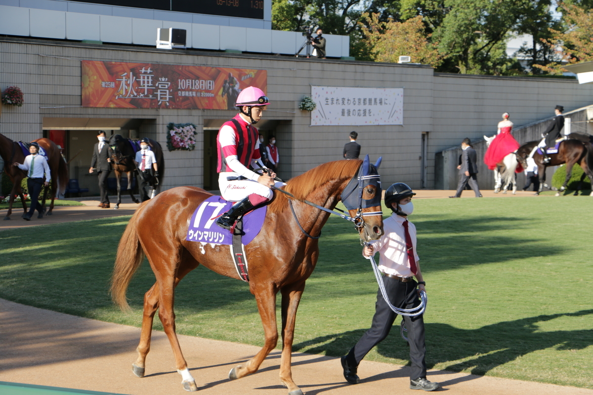 f:id:shitooo:20201019095424j:plain