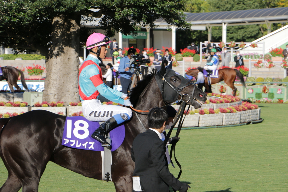 f:id:shitooo:20201019095658j:plain