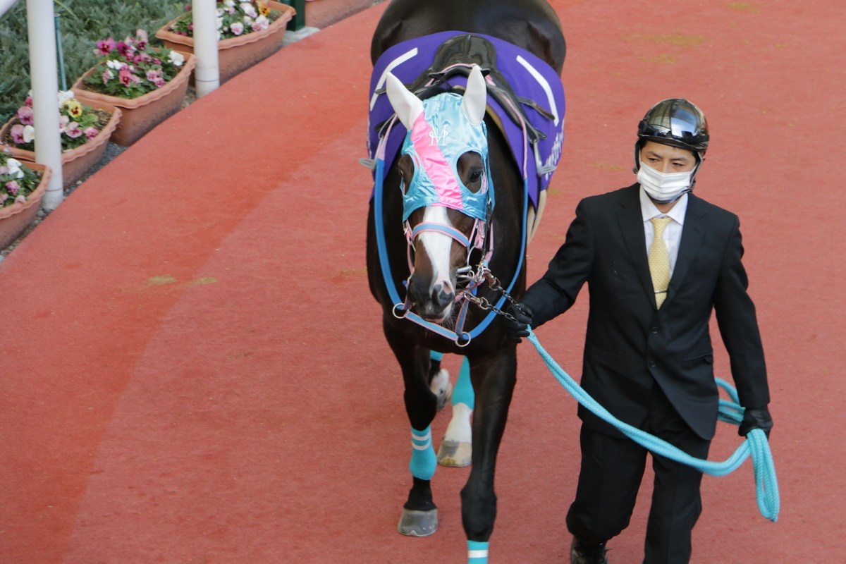 f:id:shitooo:20201117204104j:plain