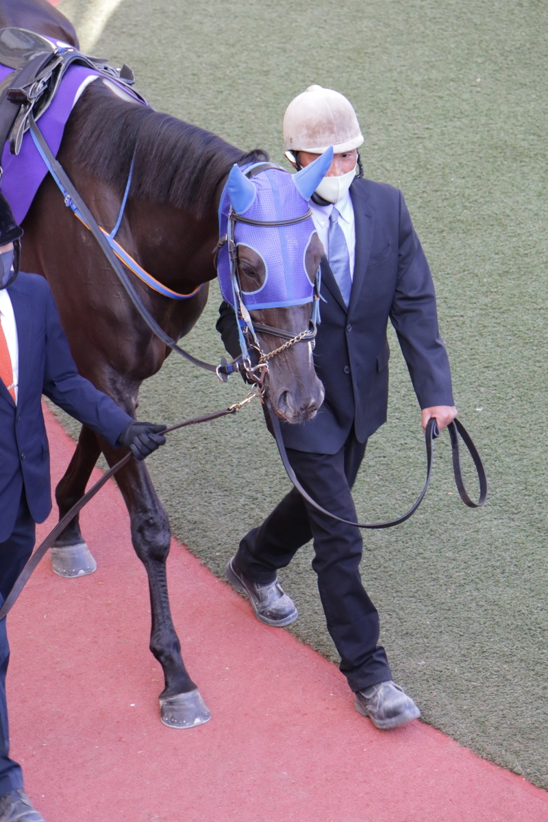 f:id:shitooo:20201117204333j:plain