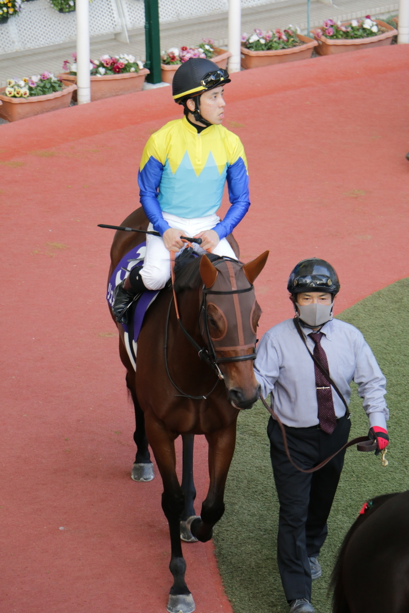 f:id:shitooo:20201117204541j:plain