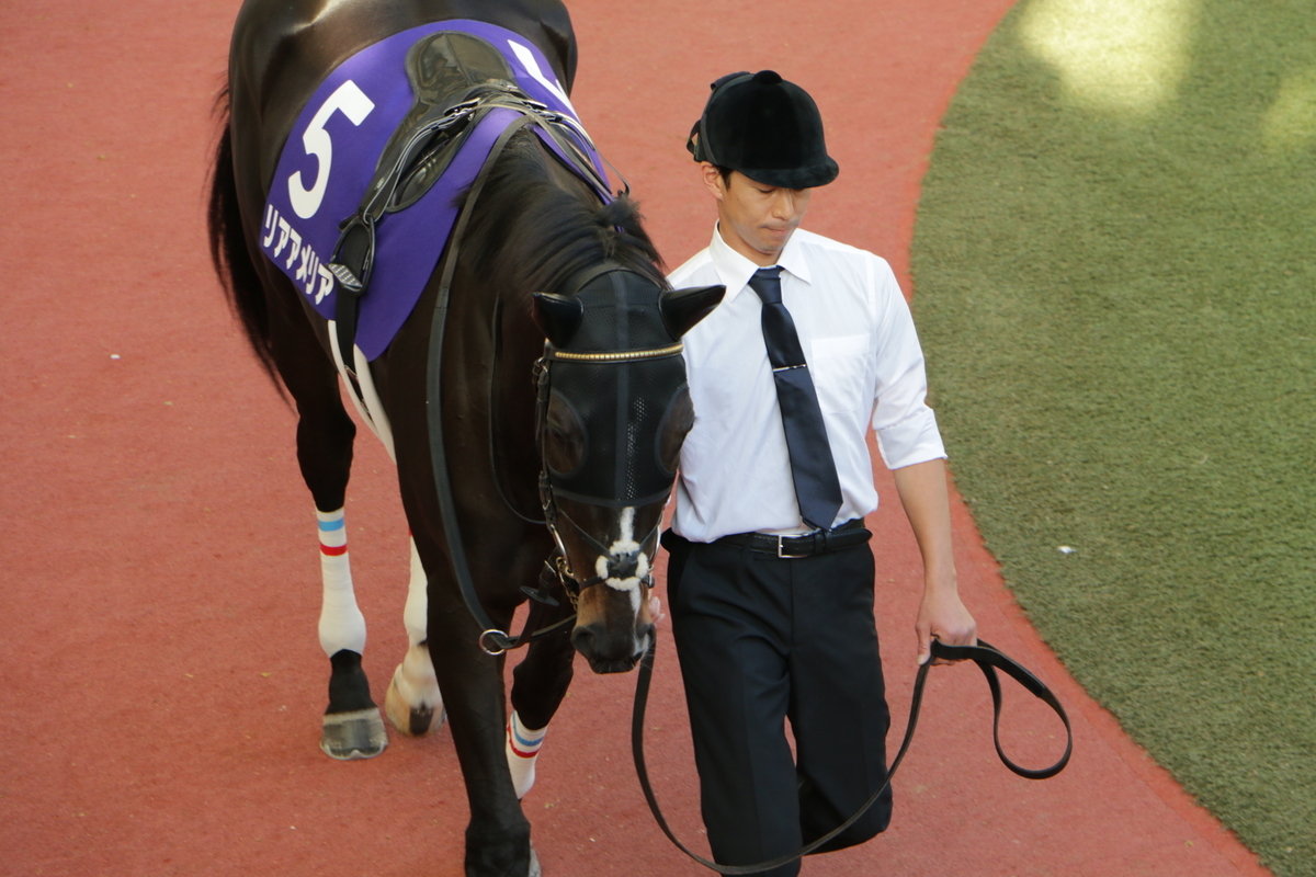 f:id:shitooo:20201117205133j:plain